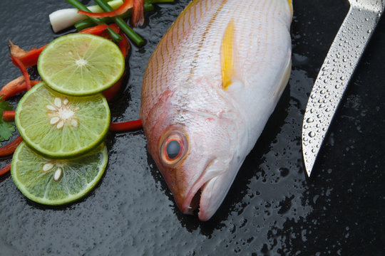 delicious portion of fresh fish fillet with aromatic herbs spices