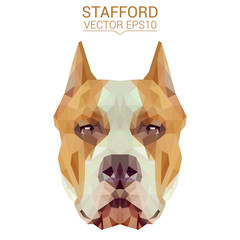 American Staffordshire Terrier dog animal low poly design. Triangle vector illustration. - 160554156