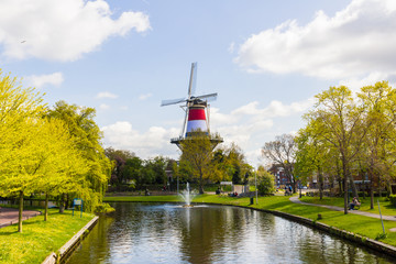 Leiden, mulino, panorama