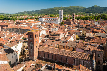 Aerial view of Lucca, in Tuscany, during a sunny afternoon; the white church in the background is the cathedral