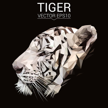 Tiger low poly design. Triangle vector illustration.