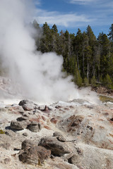 Norris geyser basin
