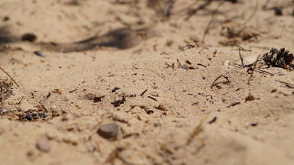 Piasek © Robert