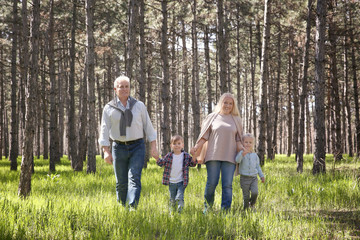 Naklejka na ściany i meble Grandparents and children in forest on sunny day