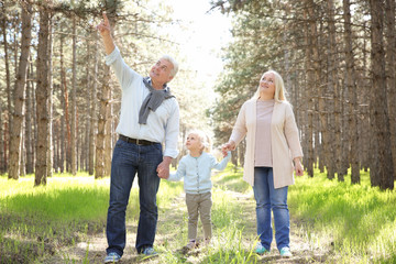 Happy grandparents with little girl in forest on sunny day