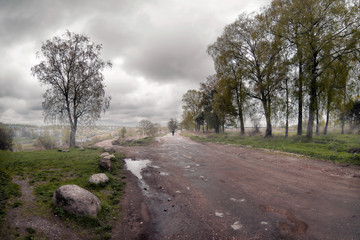 The road to the fog. Tver. Russia.