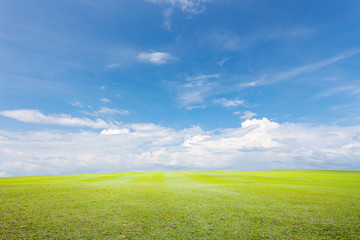 Obraz premium Green grass and sky cloud background.