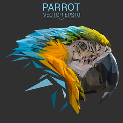 Parrot low poly design. Triangle vector illustration. © shekularaz
