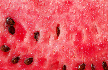 Detail of red melon - 160570760