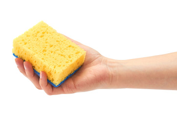 Female hand holds new and clean sponge for cleaning. Isolated on white background