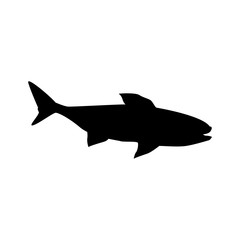 shark marine wildlife water animal silhouette vector illustration