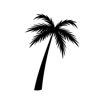 silhouette palm tree tropical natural vector illustration