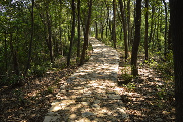 Cool Stone Path