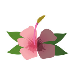 Beautiful flower decoration icon vector illustration graphic design