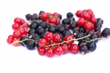 Black and red currants on a white background.
