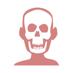 human skull skeleton x-ray medicine test vector illustration