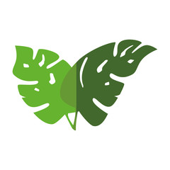 Plant ecology symbol icon vector illustration graphic design