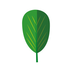Plant ecology symbol icon vector illustration graphic design
