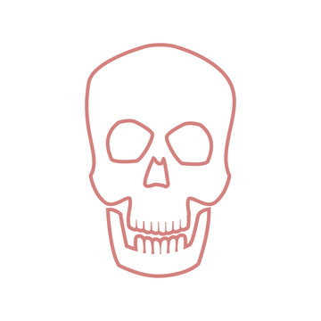 skull human head bone medicine concept vector ilustration