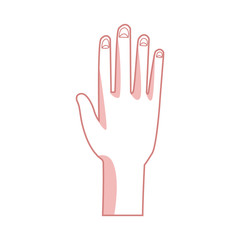 human hand palm show five finger vector illustration