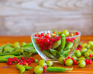 Fresh summer berries - red currants and green peas, gooseberries, agrus. The concept of healthy food.
