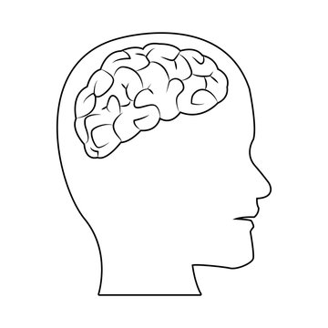 human head with brain part organ anatomy vector illustration