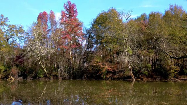 Calm Autumn River Flow