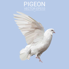 Pigeon bird animal low poly design. Triangle vector illustration.