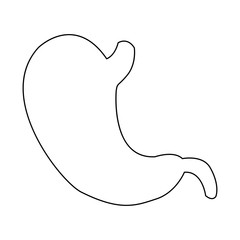 Illustration of Human Internal Stomach Anatomy vector illustration