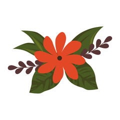 Beautiful ornamental flowers icon vector illustration graphic design