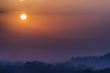 Fototapeta premium Misty Morning