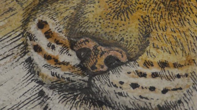 female artist painting a picture of a lynx with a brush on piece of paper