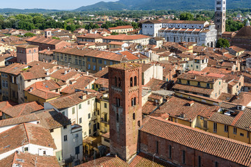 Fototapeta na wymiar aerial view of Lucca, tuscany, italy
