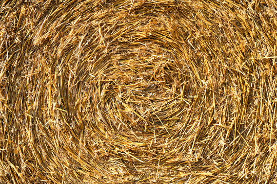 Straw pressed in a round bale