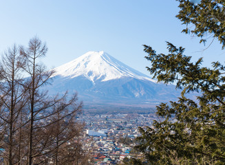 Fuji mountain in the middle with tree foreground and city below with blue sky in the morning