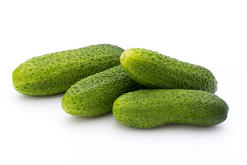 The first spring ecologically cucumbers.