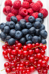 Fresh blueberries and red currant.