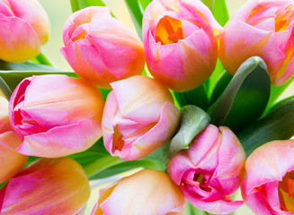 Obraz premium Spring flowers. Tulip bouquet on the bokeh background.