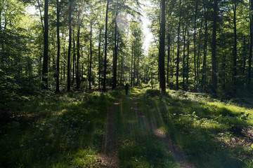 Auf dem Fernwanderweg Spessartweg