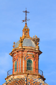Cigogne et son cigogneau  sur l'&eacute;glise catholique de Carmona, Andalousie 
