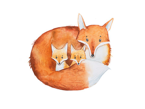 Drawing of cute fox family, mother and two fox-cubs