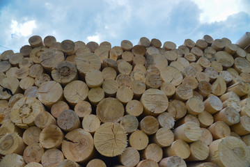 Chopped firewood. Firewood stacked and prepared for winter. Blue sky at background.
