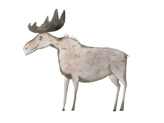 Aquarelle illustration of smiling moose or elk on white background