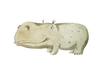 Watercolor kids book Illustration of cute baby hippo hand drawn.
