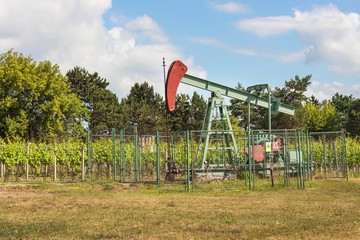 Fototapeta na wymiar Extraction of good quality oil. Oil well pumpjack on vineyard in Czech Republic. Southern Moravia Region.