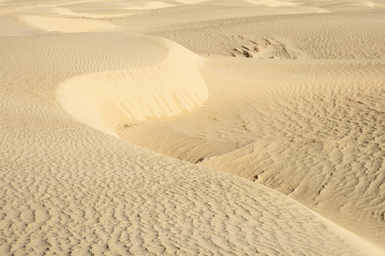 sand wave in desert in Tunisia