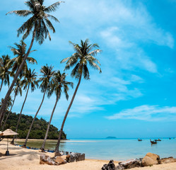 Fototapeta na wymiar Palm and tropical beach Phi phi island Thailand