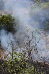 INCENDIO ESTIVO. MONTAGNA,SUD ITALIA