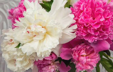ender pink and white peony flowers close-up