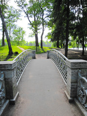 bridge over the river